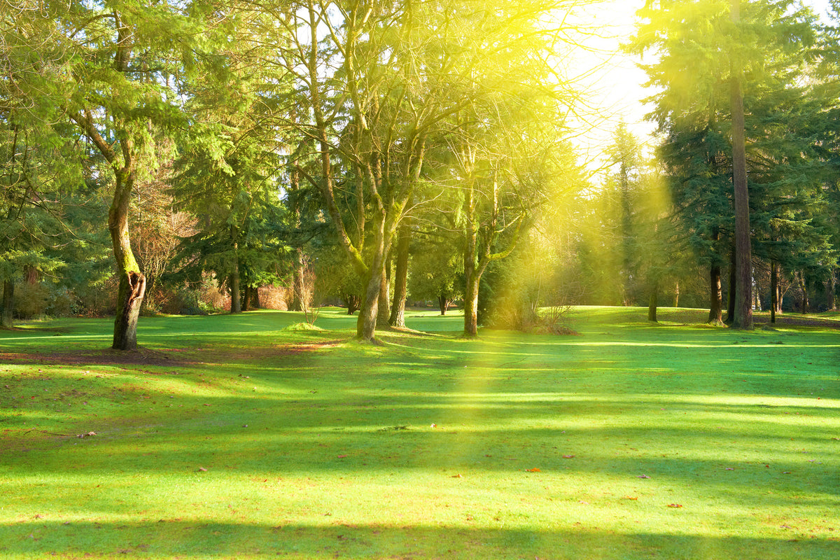 aluminium-print-in-the-park