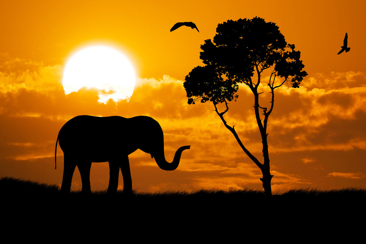 aluminium-print-dreamy-africa