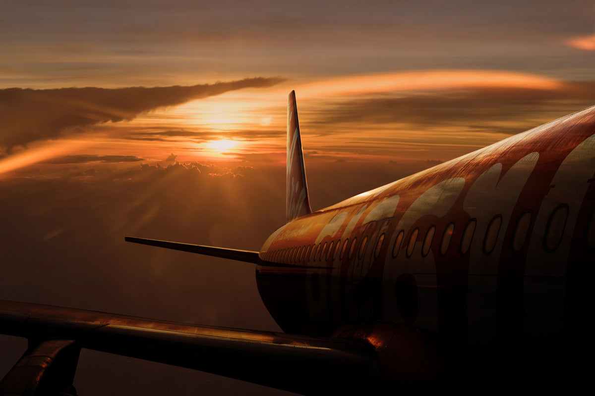 framedcanvas-print-out-of-the-flight