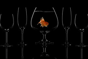 framedcanvas-print-glass-fish