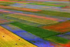 modern-3-piece-canvas-print-la-coperta