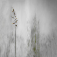 9-piece-aluminium-print-blade-of-grass