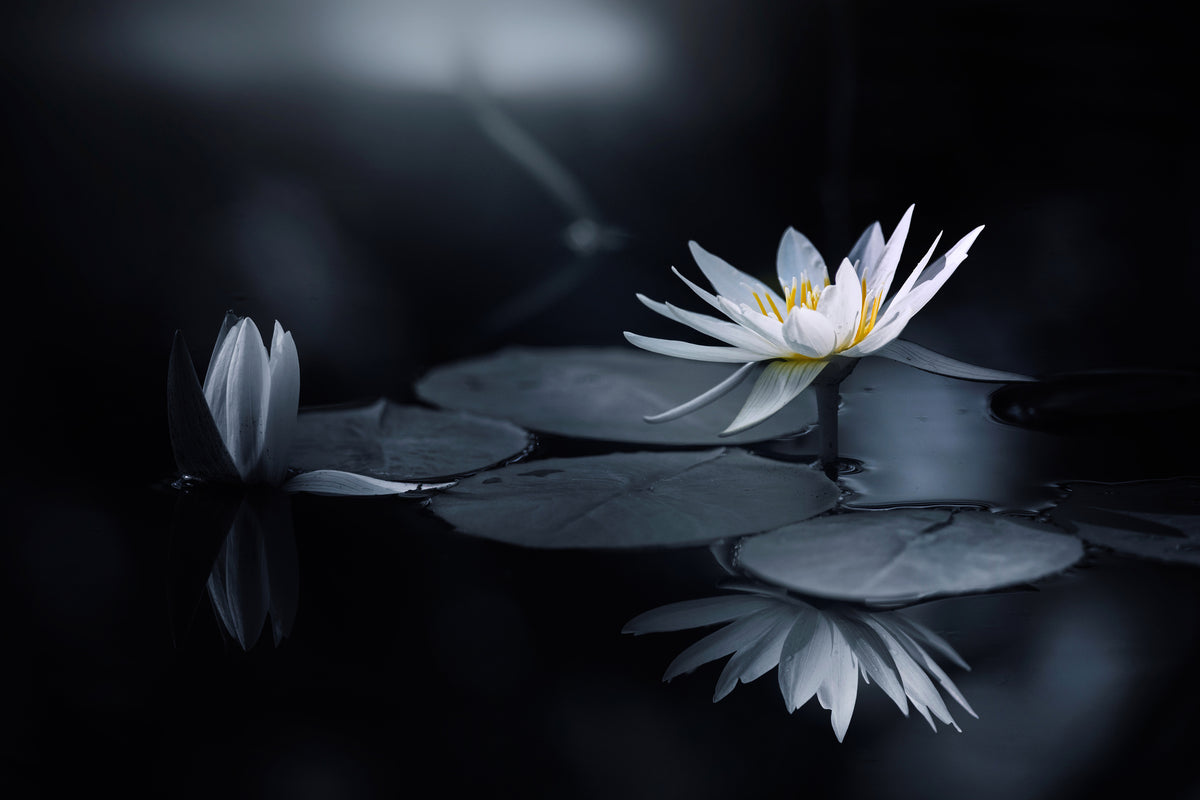 modern-3-piece-canvas-print-reflection-iv