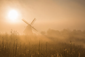 framedposter-print-golden-dawn-x