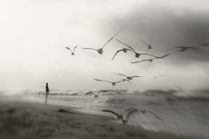 framedposter-print-quiet-dreams-x