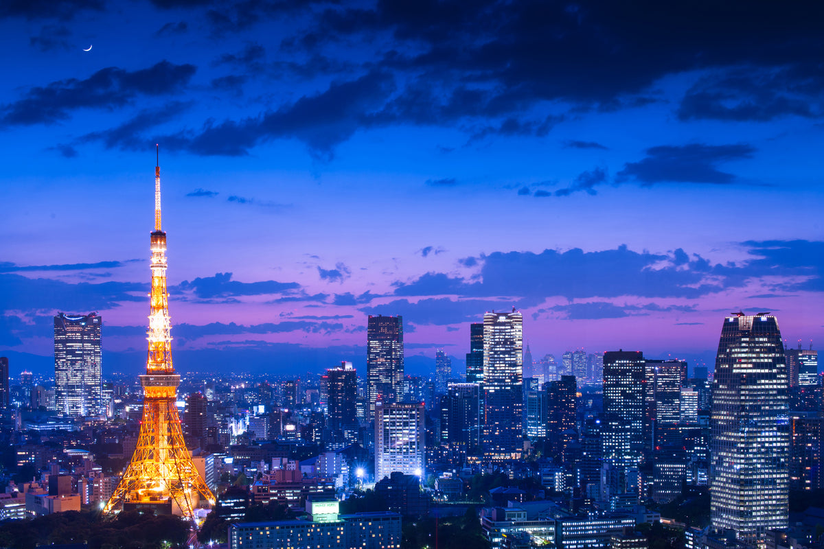 canvas-print-tokyo-night-view