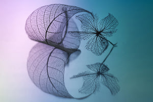 modern-3-piece-acrylic-print-story-of-leaf-and-flower