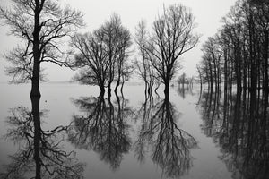 canvas-print-flood-x