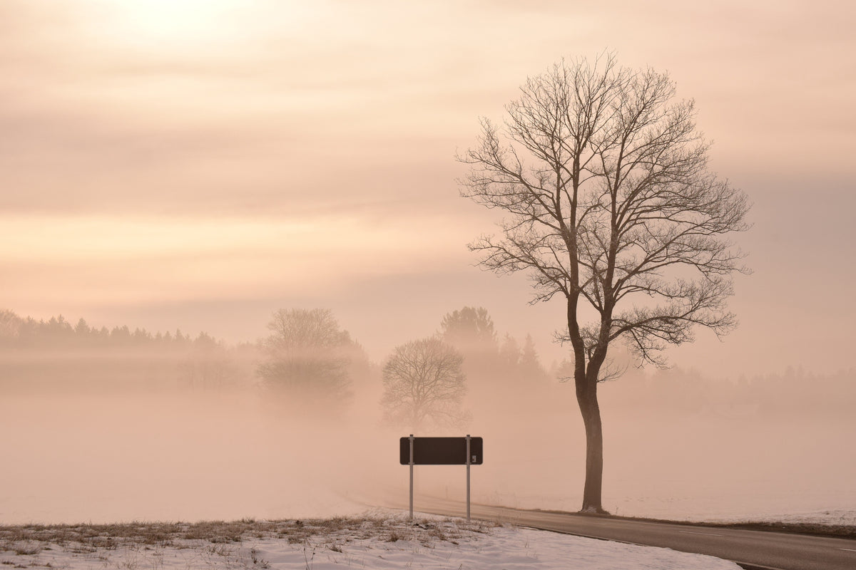 aluminium-print-mystic-mood-in-nature