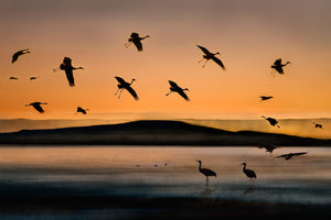 3-piece-aluminium-print-fly-in-at-sunset