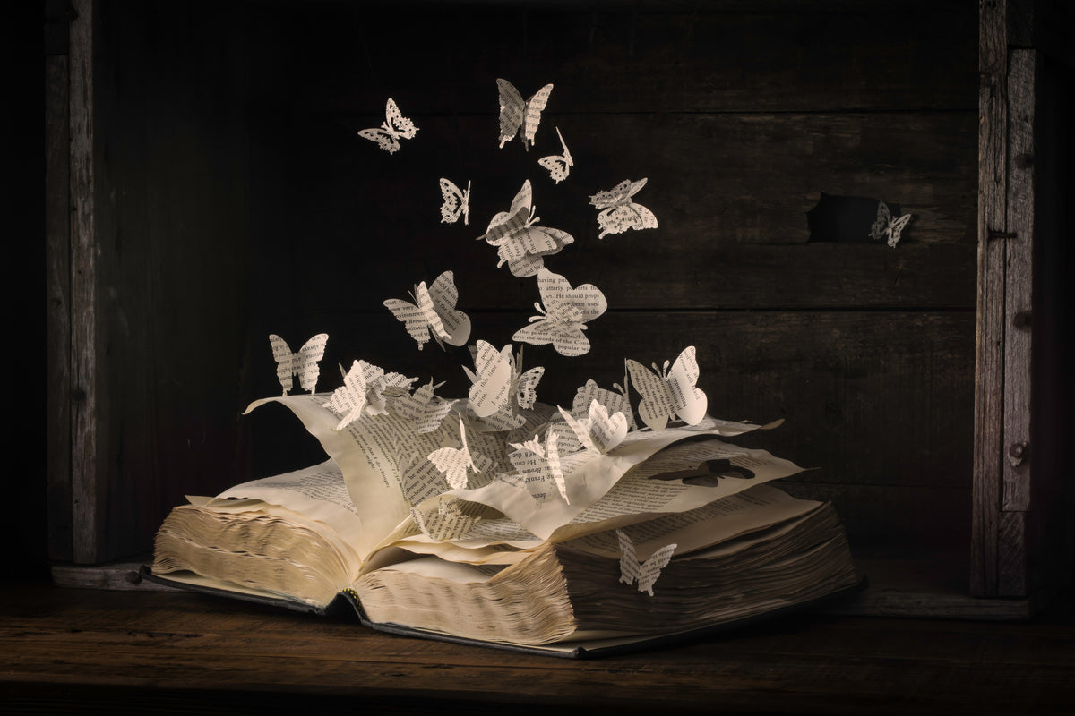 canvas-print-lepidopterology