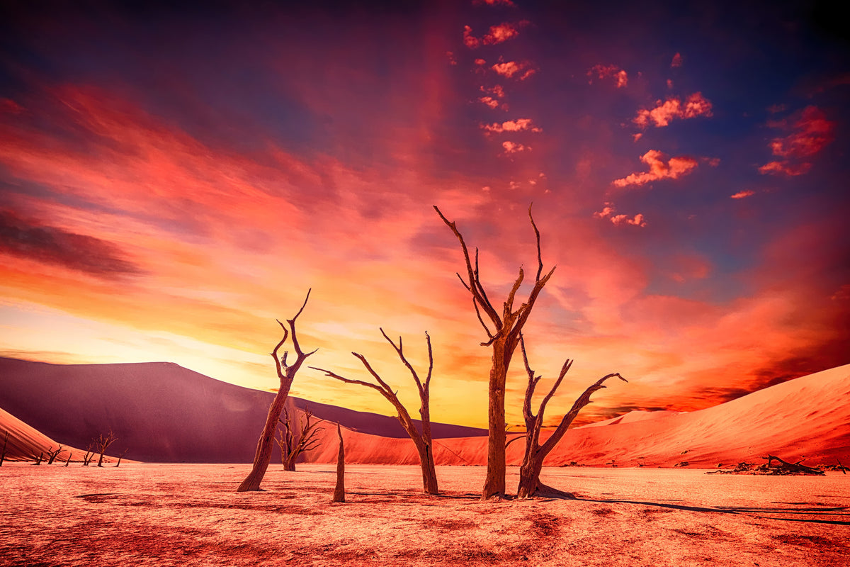 acrylic-print-colorful-desert