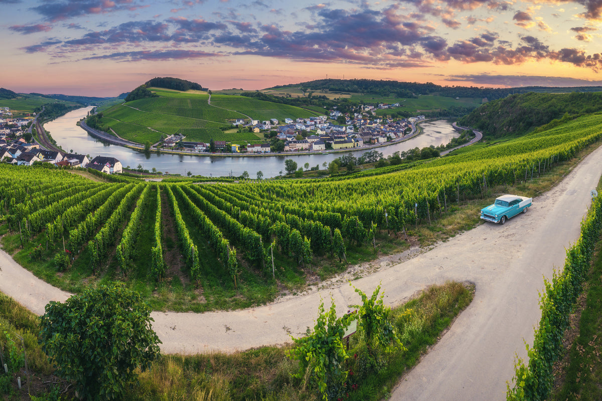 canvas-print-moselle-bend-with-vineyards