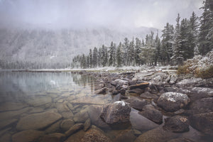 poster-print-winter