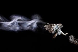 framedcanvas-print-back-to-the-future