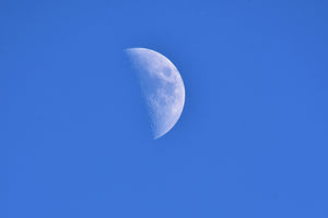 framedposter-print-the-crescent