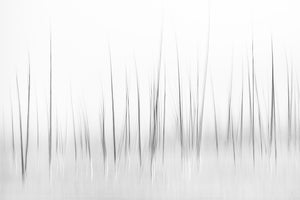 3-piece-canvas-print-wintry-scenery-in-yellowstone
