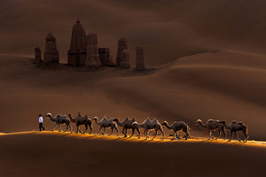 modern-3-piece-aluminium-print-castle-and-camels