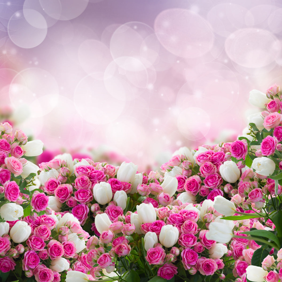 9-piece-aluminium-print-fable-roses
