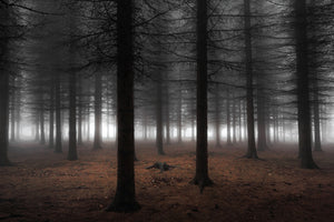 3-piece-canvas-print-silence-ii