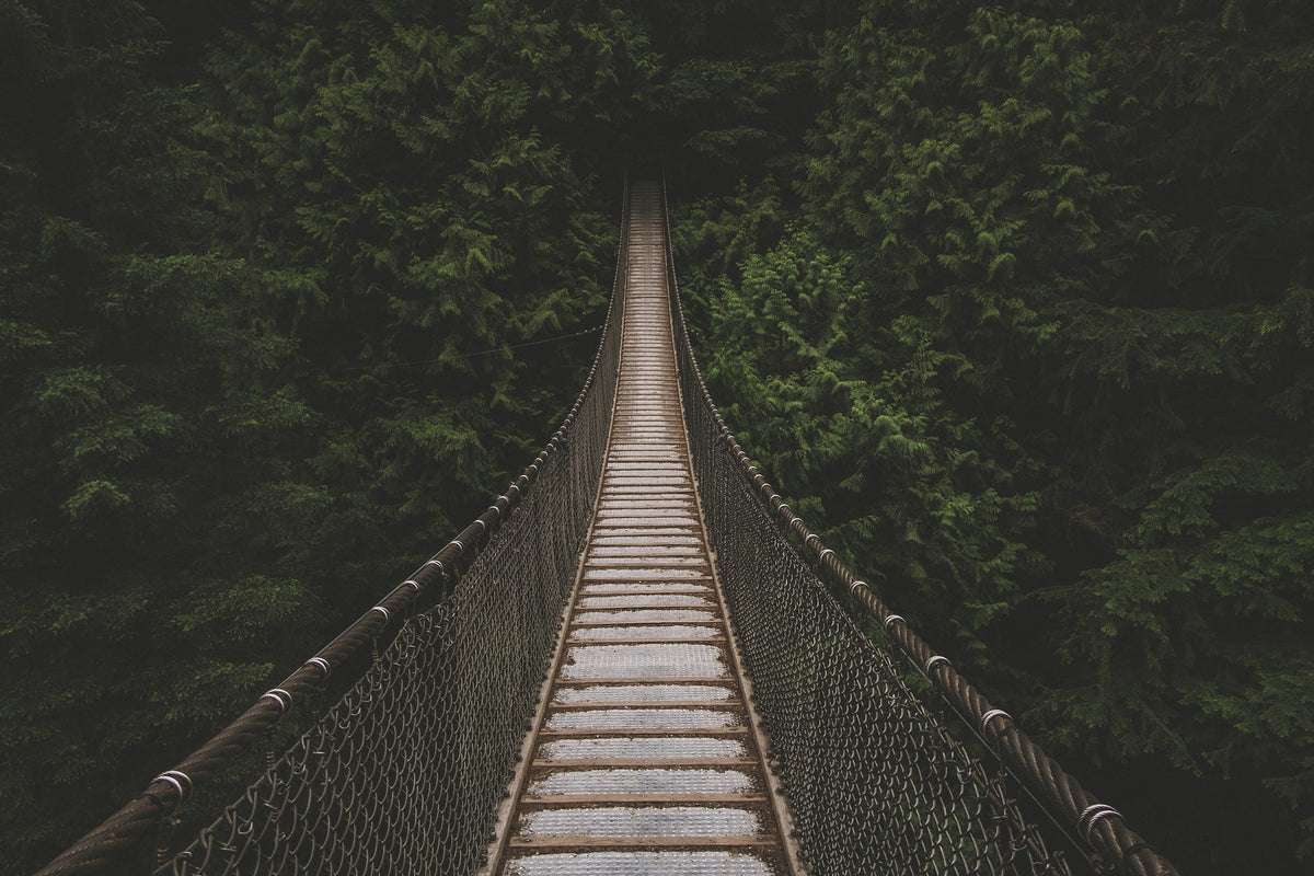 aluminium-print-exciting-bridge