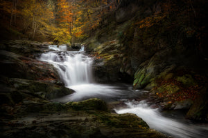 framedcanvas-print-irati-jungle-x