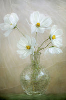 poster-print-cosmos-breeze