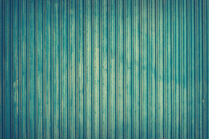framedposter-print-strip-of-nature