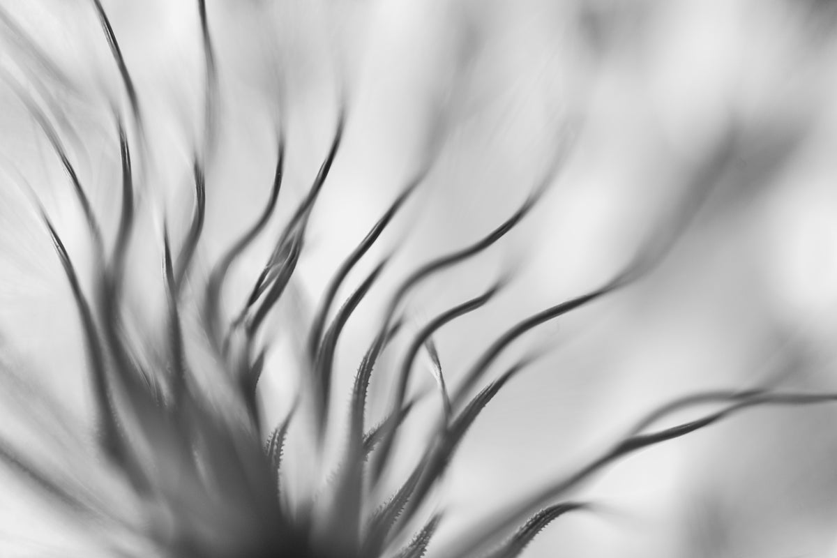 framedposter-print-untitled-xvii-p