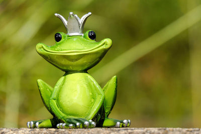 poster-print-mr-frog-king