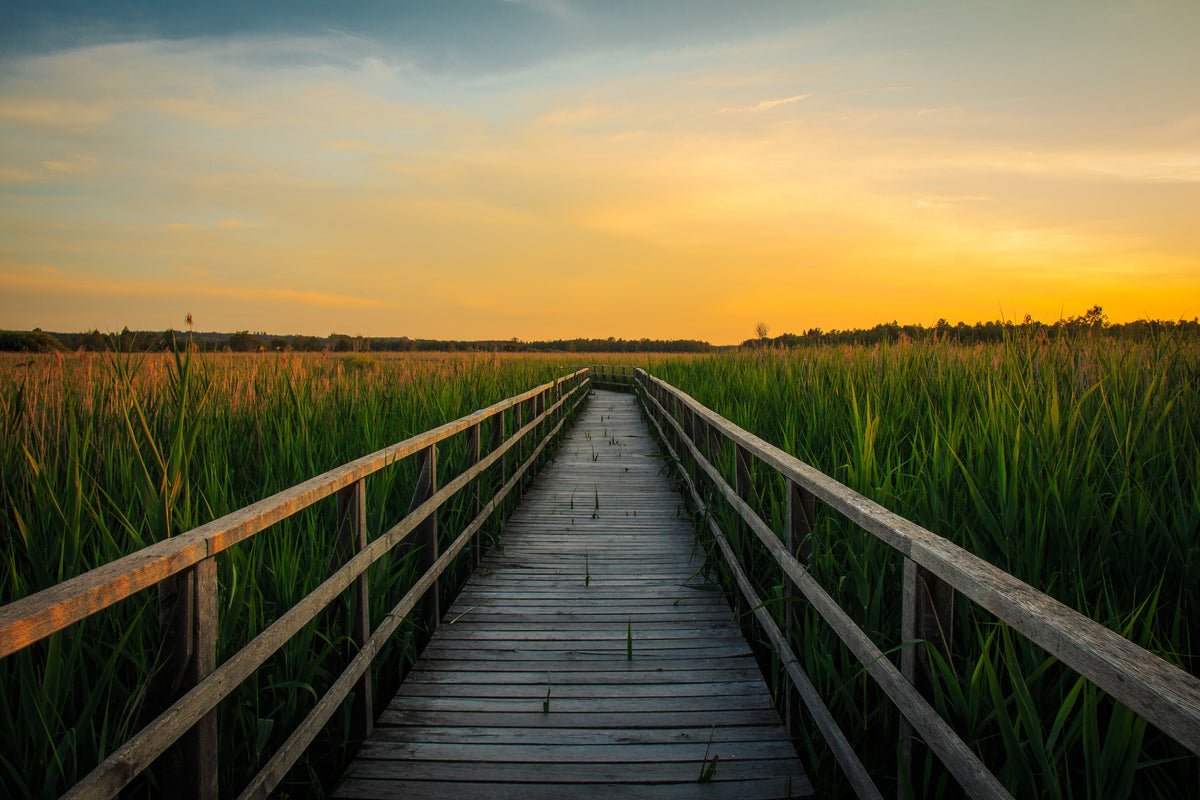 framedposter-print-sunset-in-the-fields