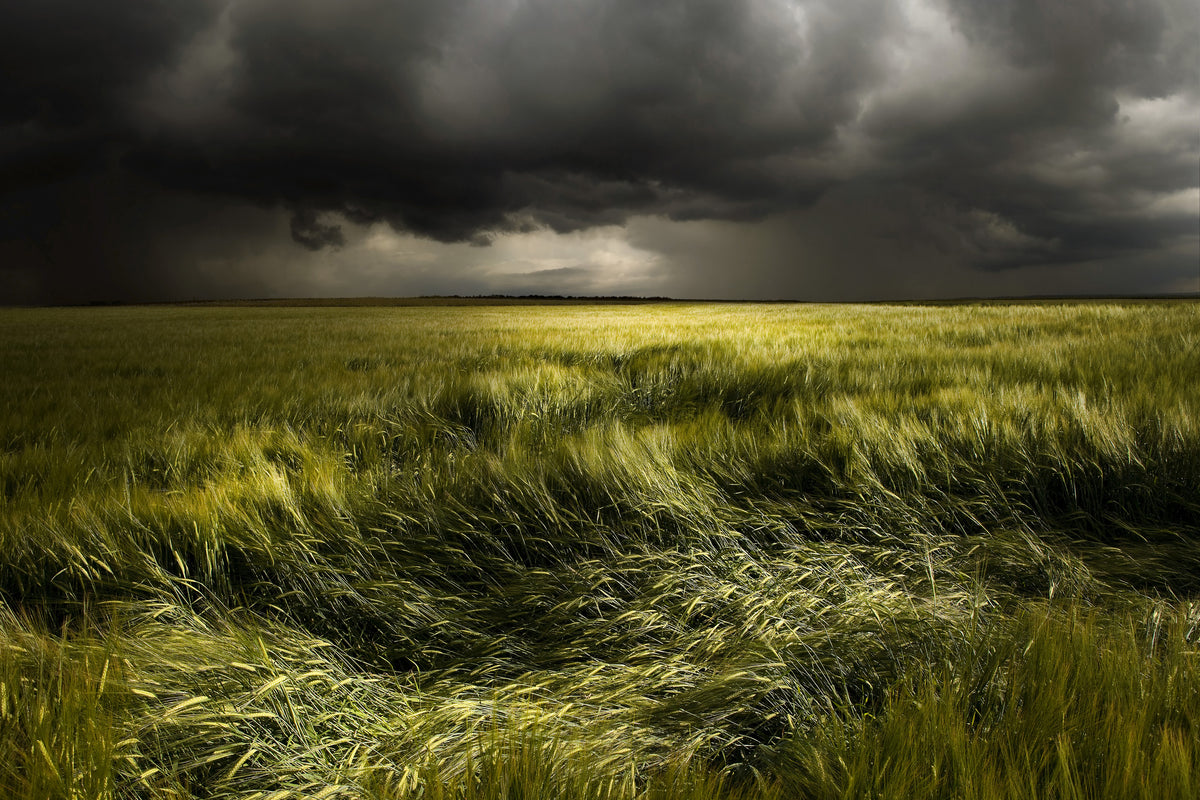 3-piece-acrylic-print-summer-weather