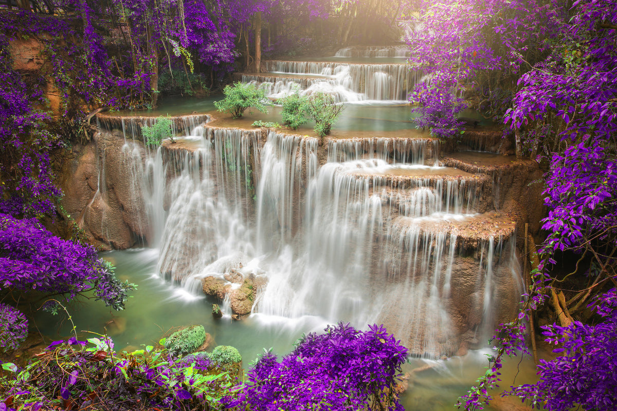 canvas-print-photowallpaper-garden-eden