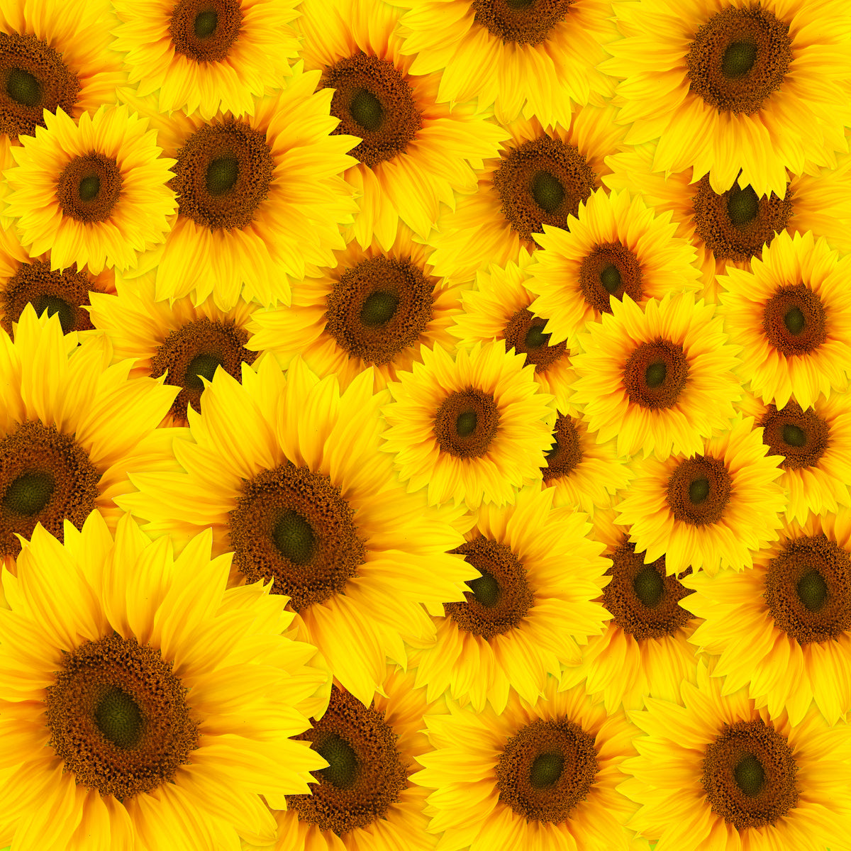 canvas-print-a-bouquet-sunflower