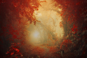 canvas-print-personal-journey