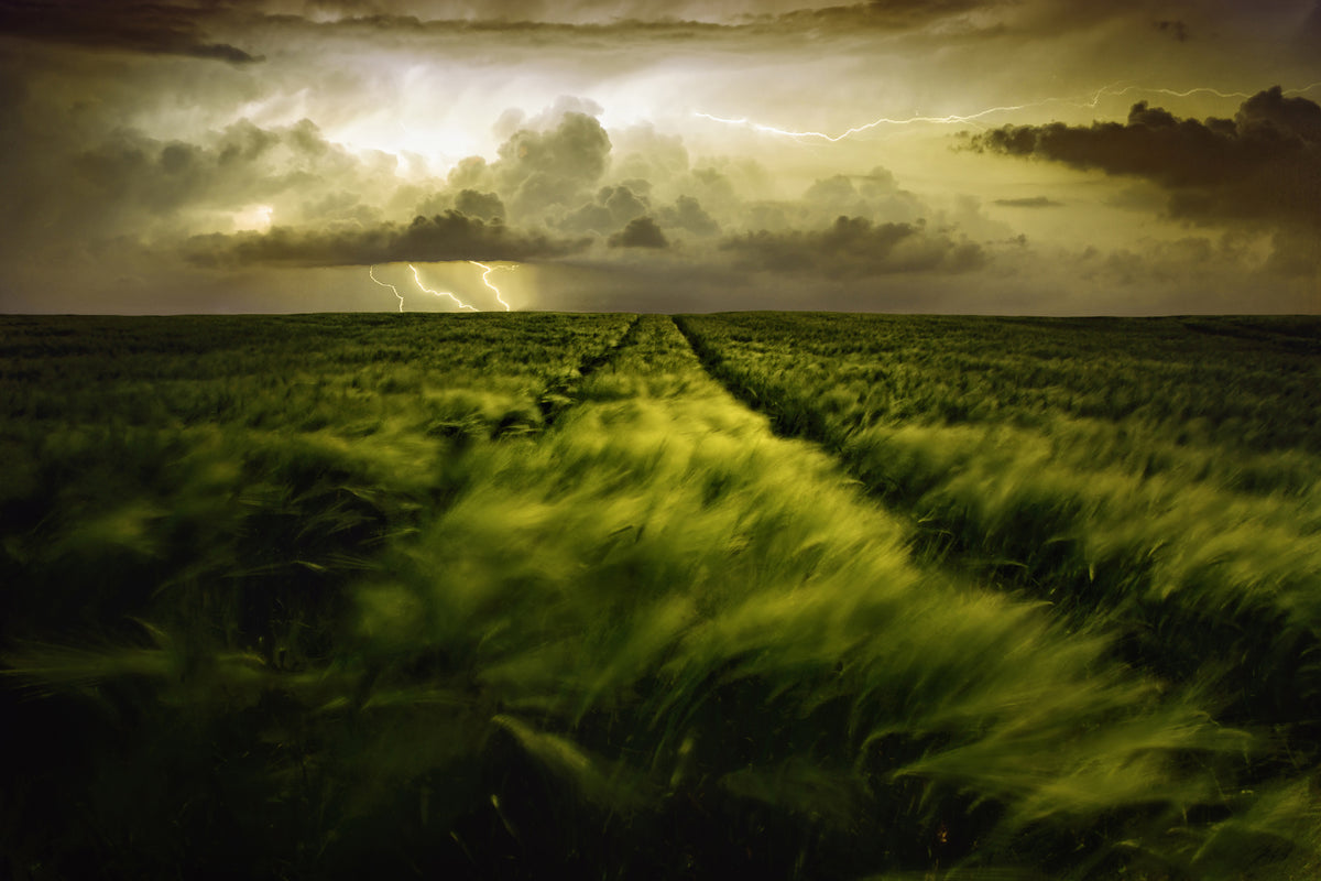 canvas-print-journey-to-the-fierce-storm
