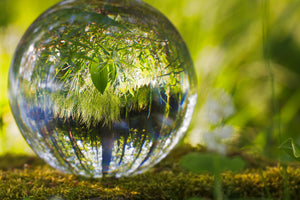 3-piece-canvas-print-nature-ball