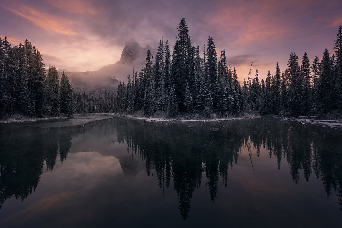 3-piece-canvas-print-untitled-lxv