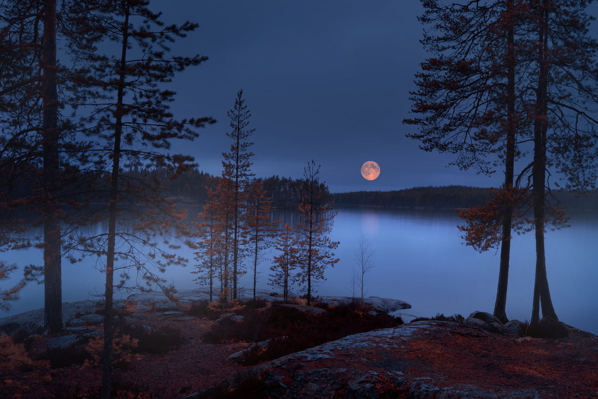 framedposter-print-red-moon-x