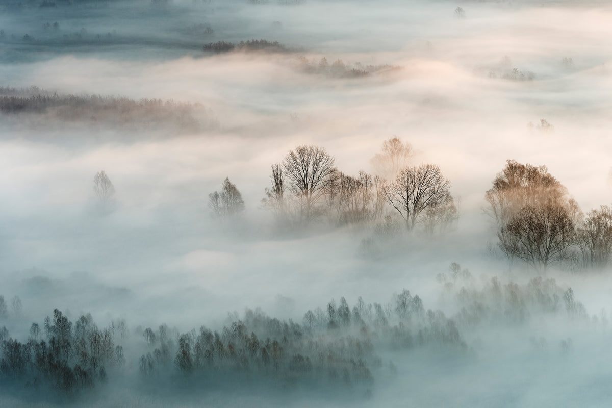 aluminium-print-winter-fog