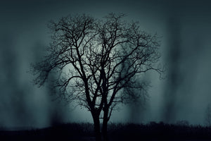 3-piece-acrylic-print-the-tree-in-darkness
