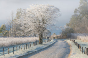 poster-print-a-frosty-morning