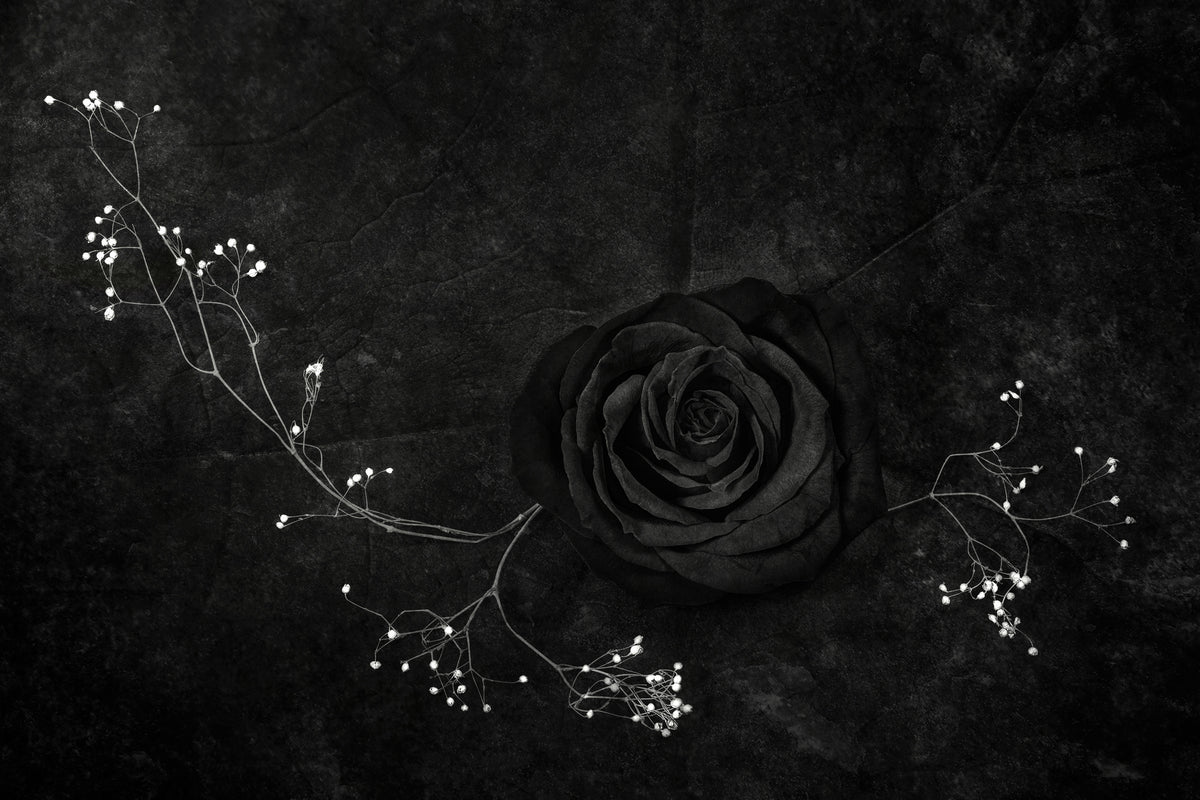 3-piece-acrylic-print-rose-noire