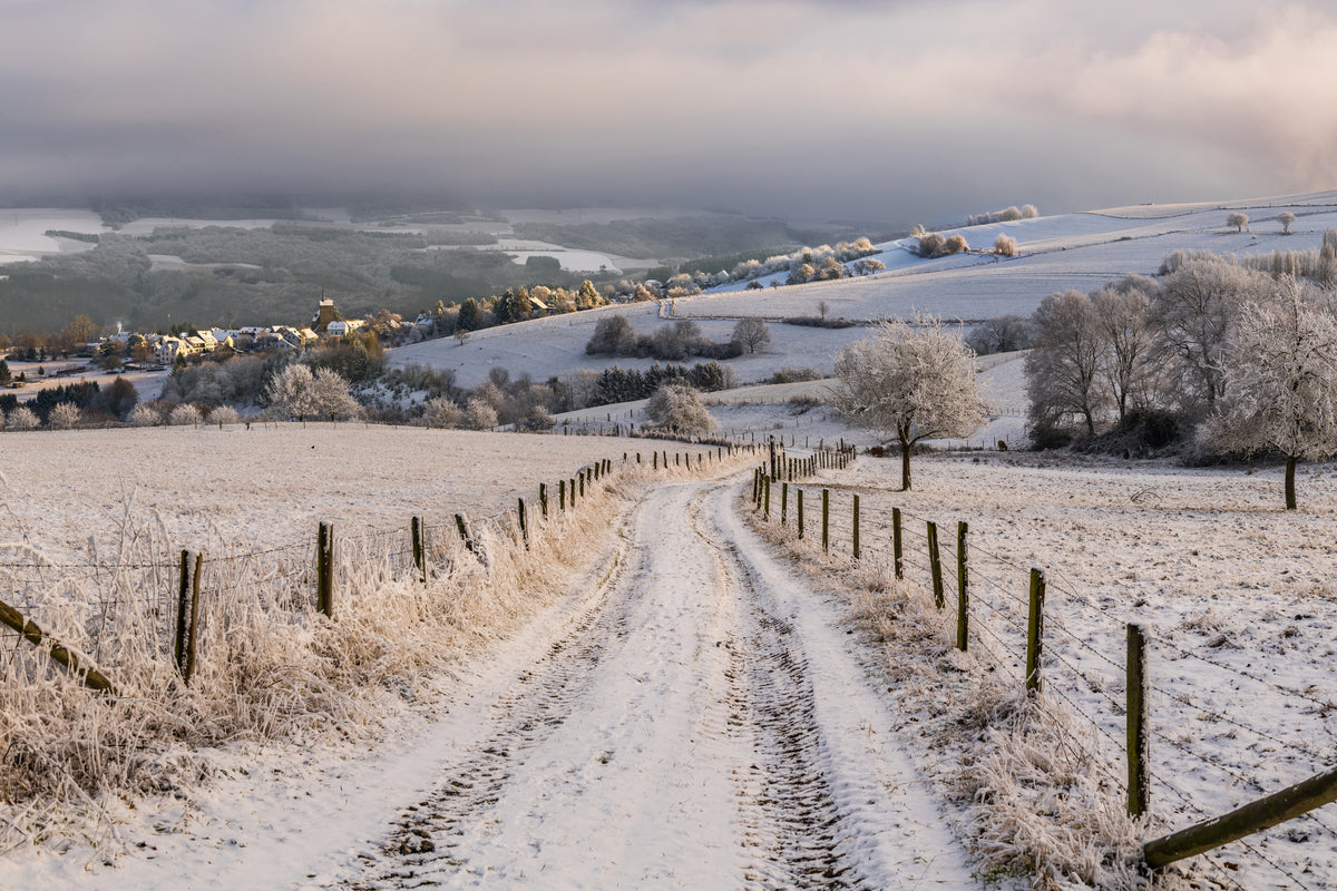 modern-3-piece-canvas-print-winter-wonderland
