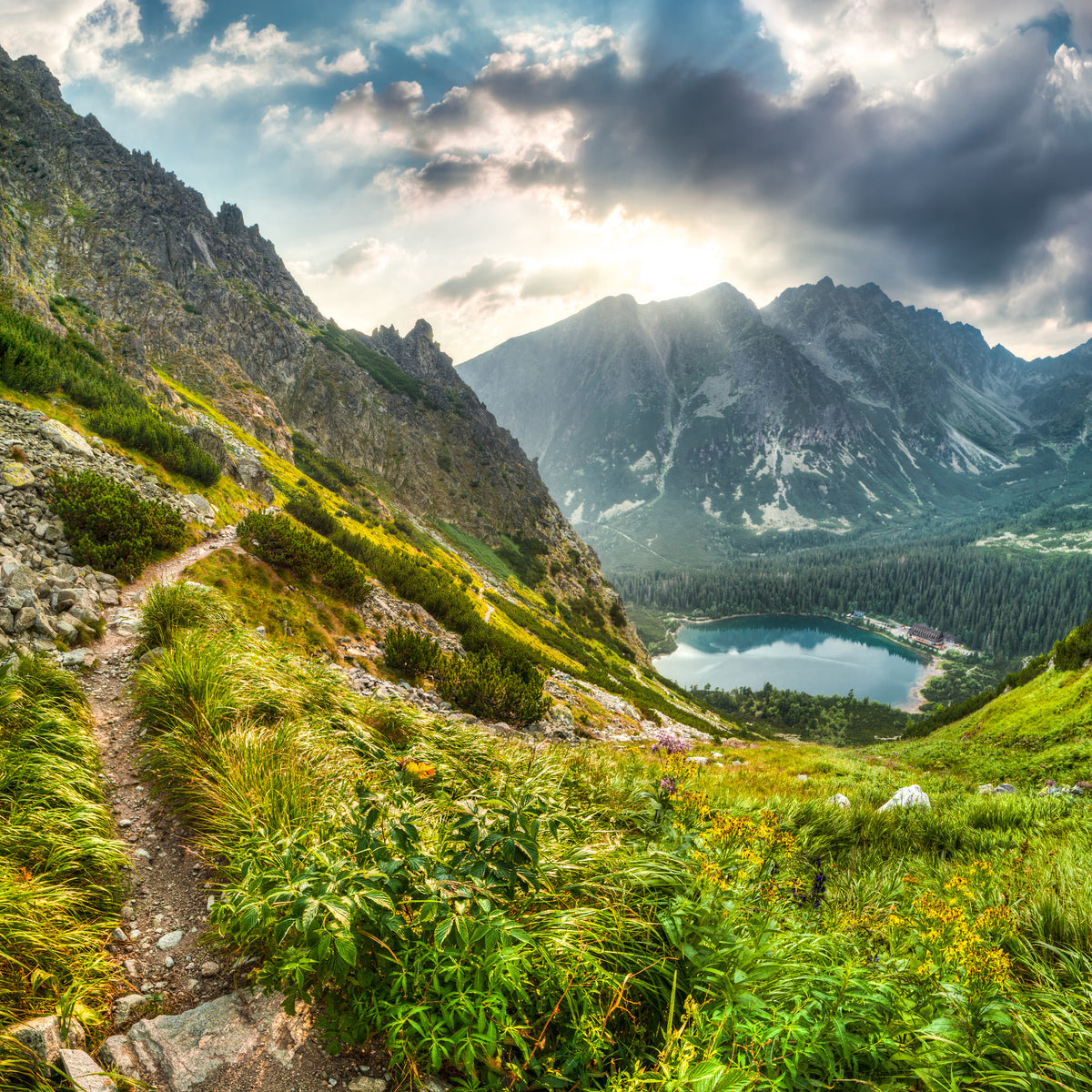 poster-print-mountain-views