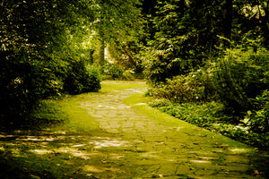 3-piece-aluminium-print-moss-covered-path