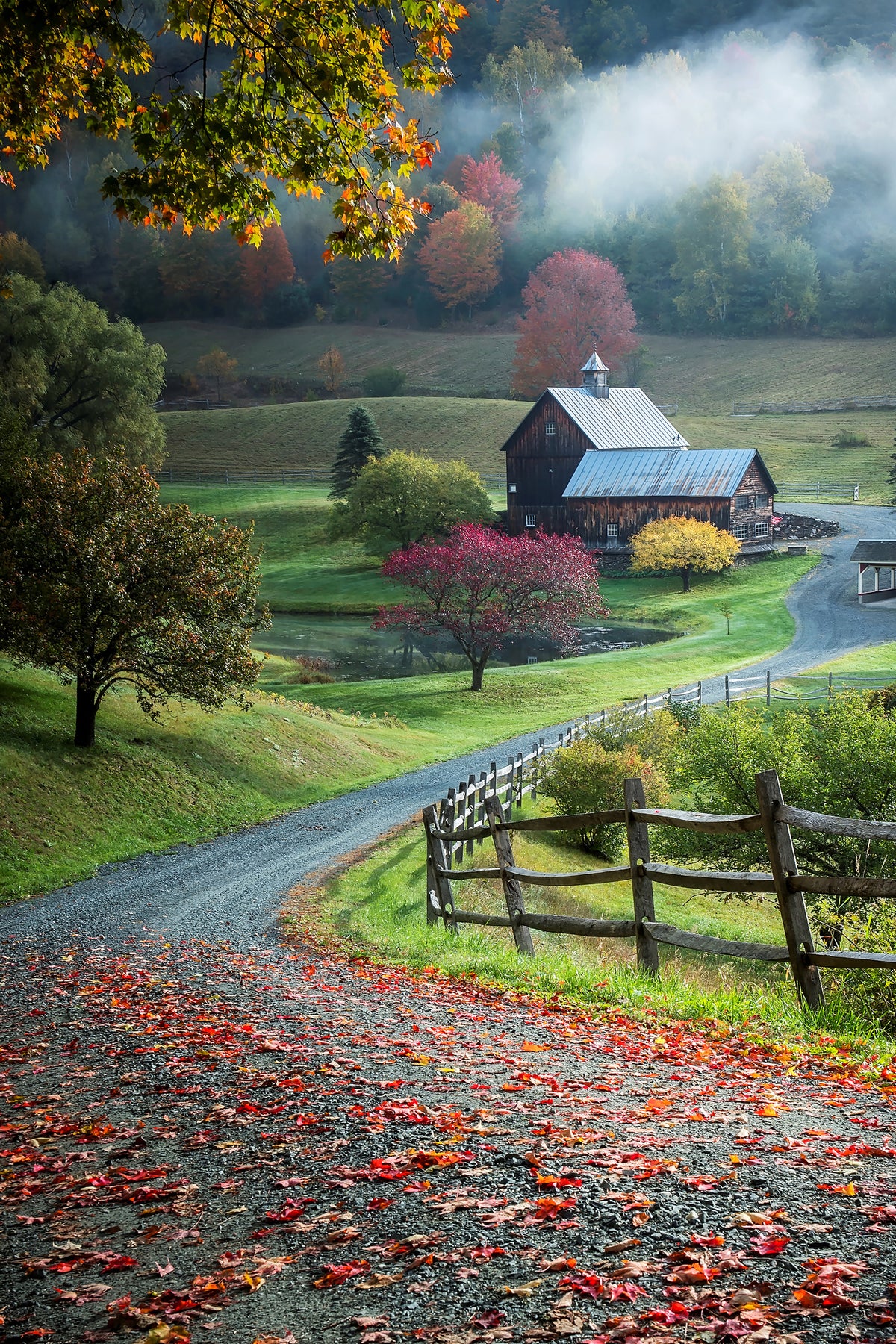 framedcanvas-print-untitled-xwpwpa