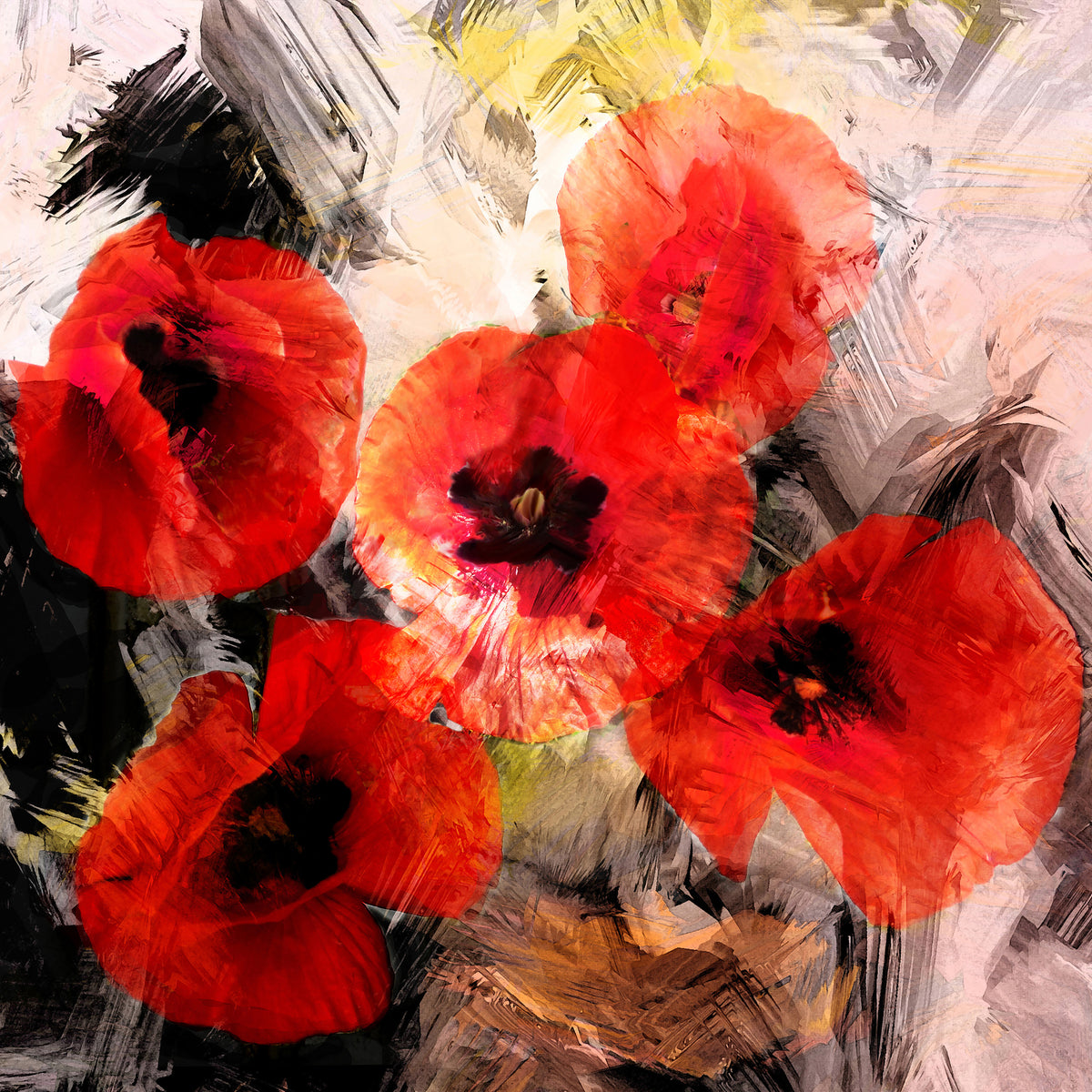 canvas-print-poppy-portrayal