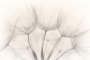 modern-3-piece-aluminium-print-no-title