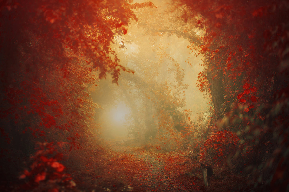 framedcanvas-print-personal-journey